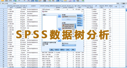 数据分析师